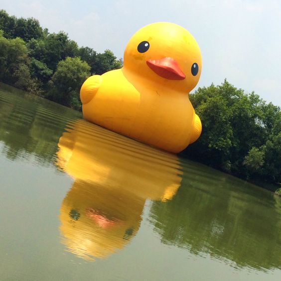 A silly rubber duck